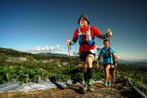 BIB: 
                            <button type="button" onclick="openModal(19122899)" class="btn btn-primary btn-sm float-right btn-popup" data-toggle="modal" data-target=".modal-high-quality">
                        <i class="fas fa-shopping-cart"></i> Add to Cart
                    </button>
                                            <button type="button" onclick="isThisMe(19122899, true)" class="btn btn-success btn-sm float-right btn-popup btn-isme hidden" data-toggle="tooltip" data-placement="bottom" title="นี่คือรูปของคุณใช่ไหม คลิกที่นี่เพื่อเอาเข้าอัลบั้ม">
                        <i class="fas fa-plus"></i> Add to album
                    </button>
                    <button type="button" onclick="isThisMe(19122899, false)" class="btn btn-warning btn-sm float-right btn-popup btn-isnotme hidden">
                        <i class="fas fa-ban"></i> Remove from album
                    </button>